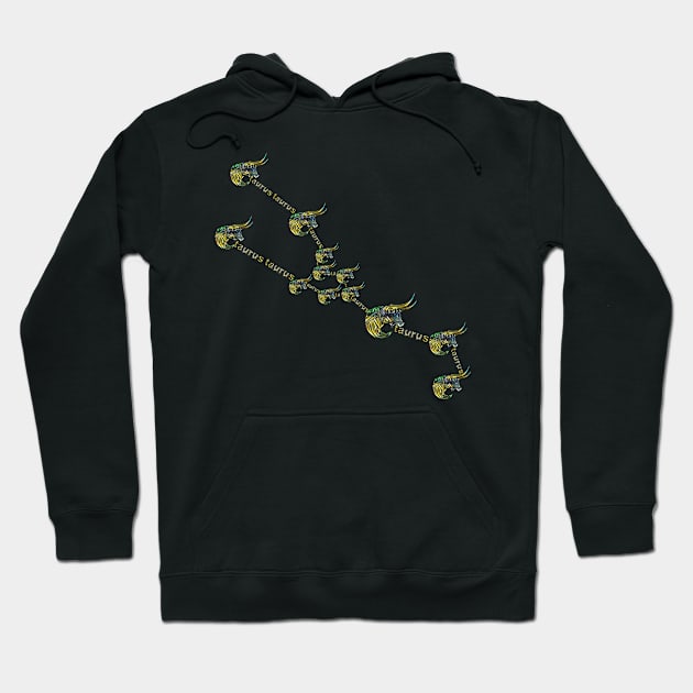 Taurus zodiac constellation Hoodie by INDONESIA68